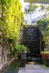 Delias (D18), Terrace #510243971